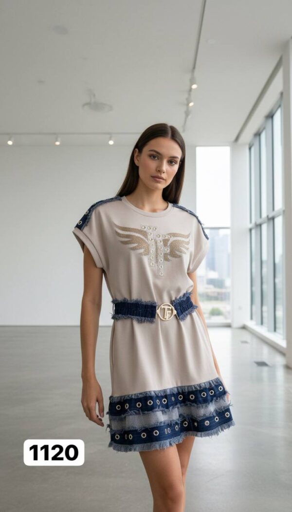 Embellished Wing Graphic Mini Dress with Denim Trim