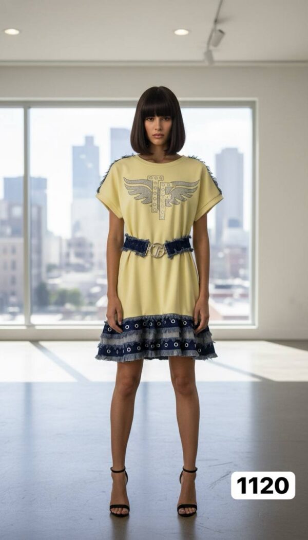 Embellished Wing Graphic Mini Dress with Denim Trim