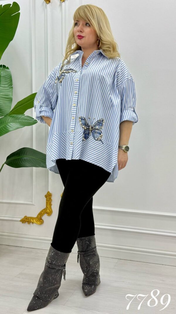 Striped Butterfly Applique Embellished Oversized Shirt