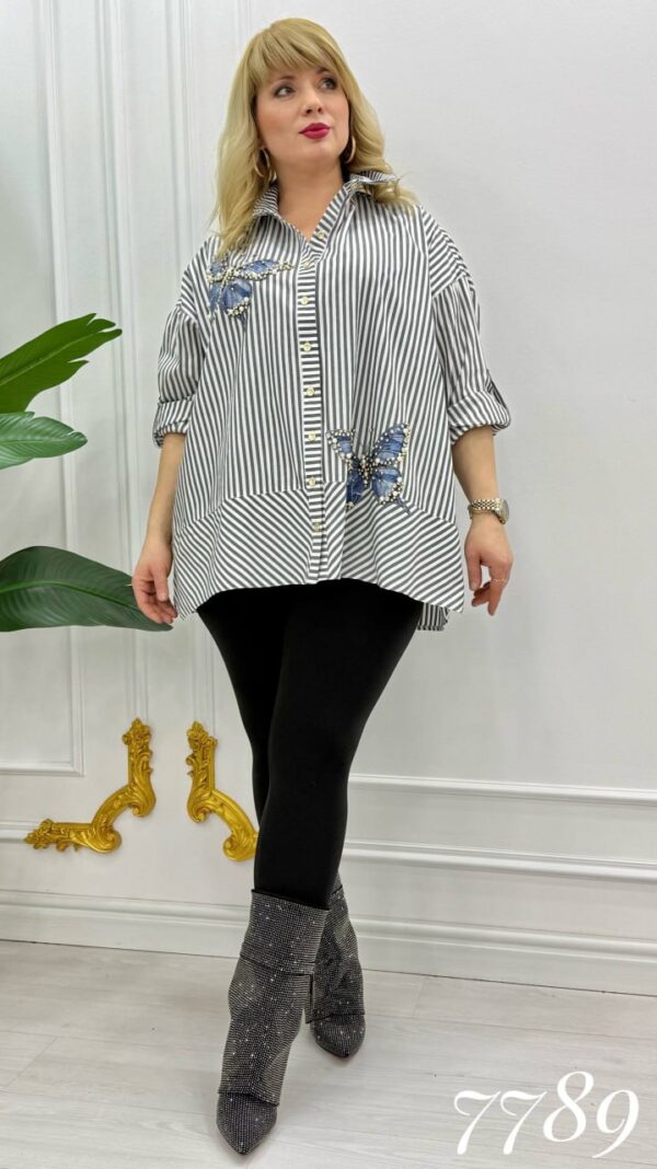 Striped Butterfly Applique Embellished Oversized Shirt