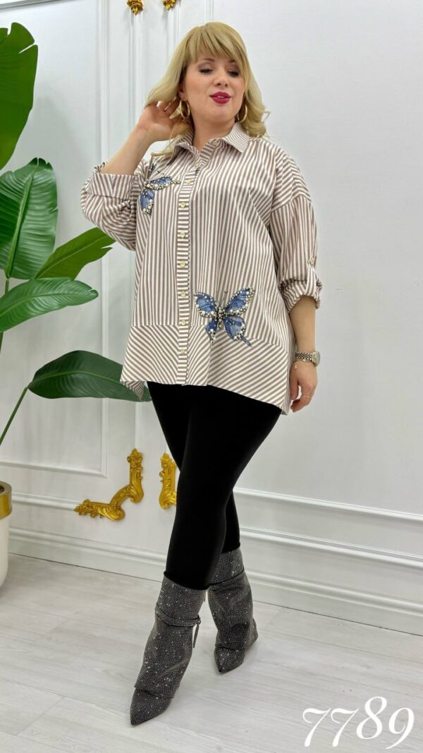 Striped Butterfly Applique Embellished Oversized Shirt