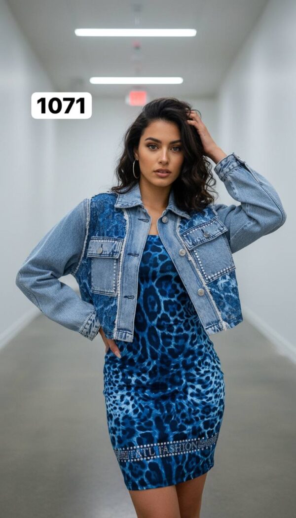 Leopard Print Mini Dress and Denim Jacket Set