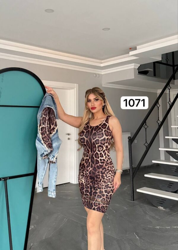 Leopard Print Mini Dress and Denim Jacket Set