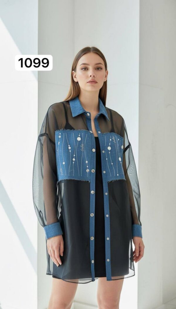 Two-Piece Mini Dress and Sheer Denim Jacket Set