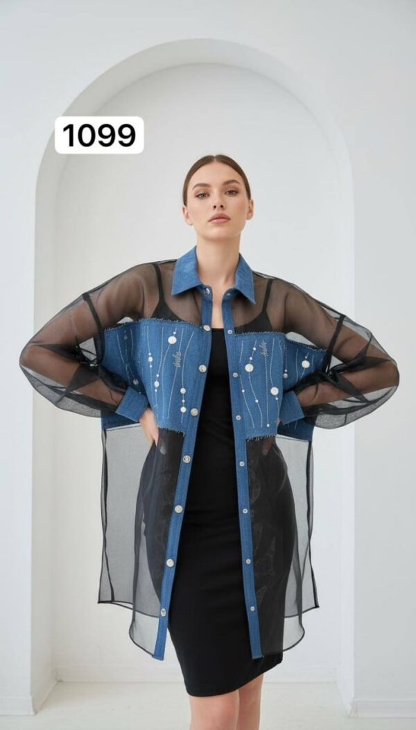 Two-Piece Mini Dress and Sheer Denim Jacket Set