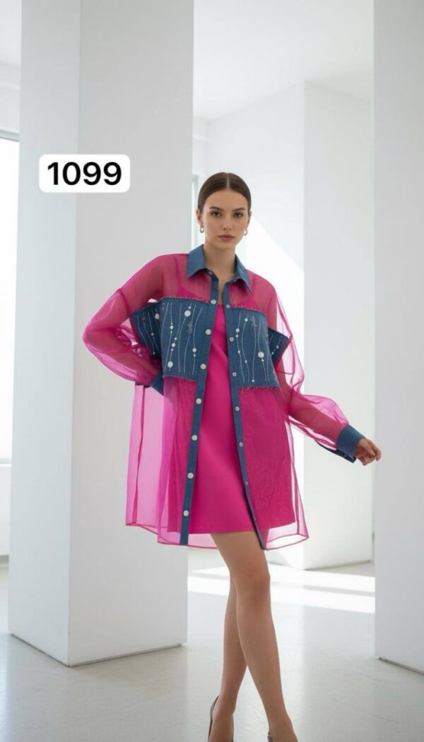 Two-Piece Mini Dress and Sheer Denim Jacket Set