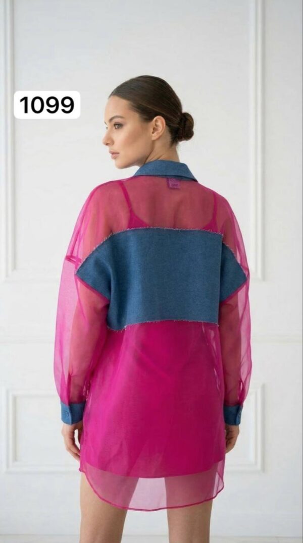 Two-Piece Mini Dress and Sheer Denim Jacket Set