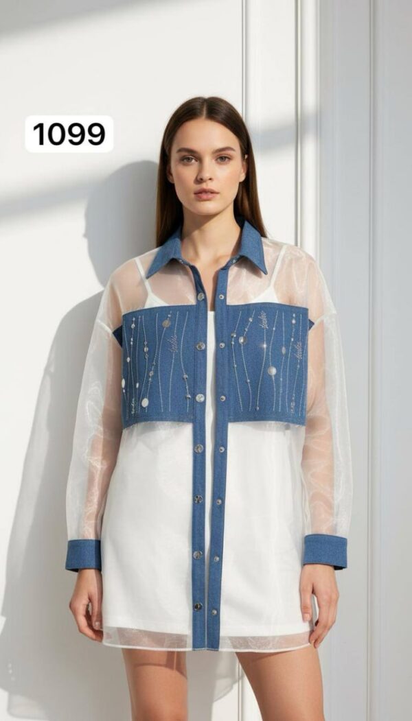 Two-Piece Mini Dress and Sheer Denim Jacket Set