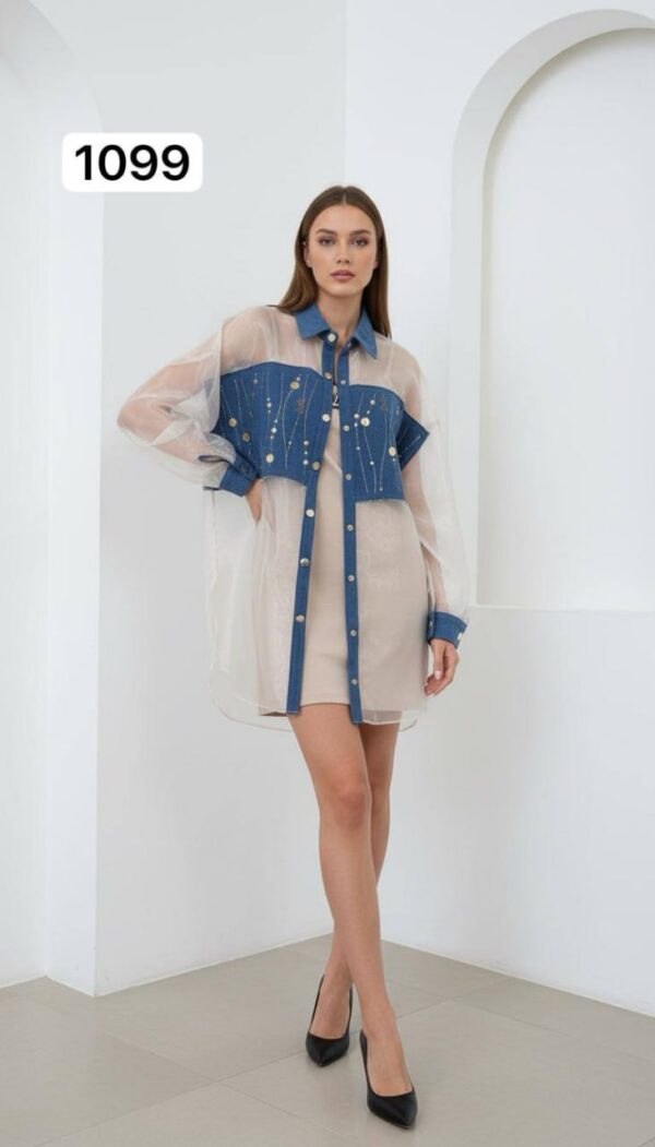 Two-Piece Mini Dress and Sheer Denim Jacket Set