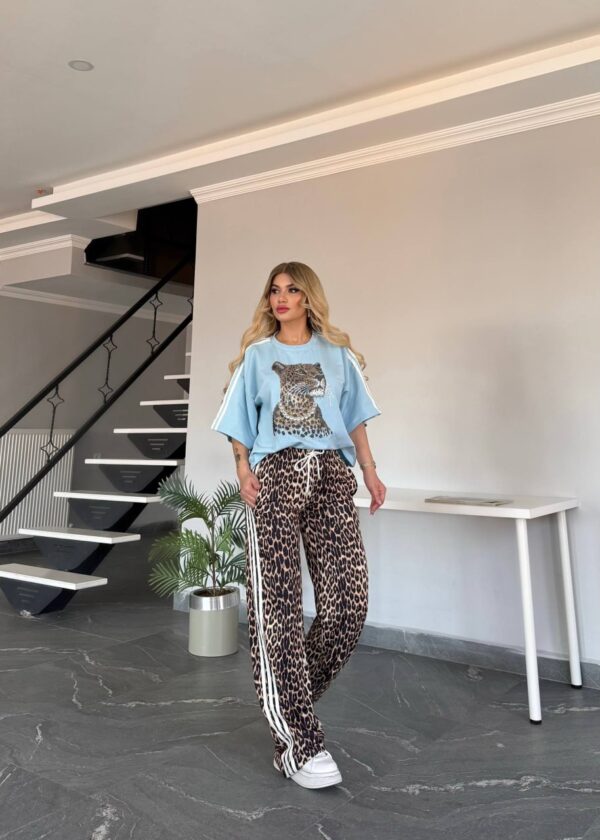 Women's Leopard Graphic Top and Print Pants Set