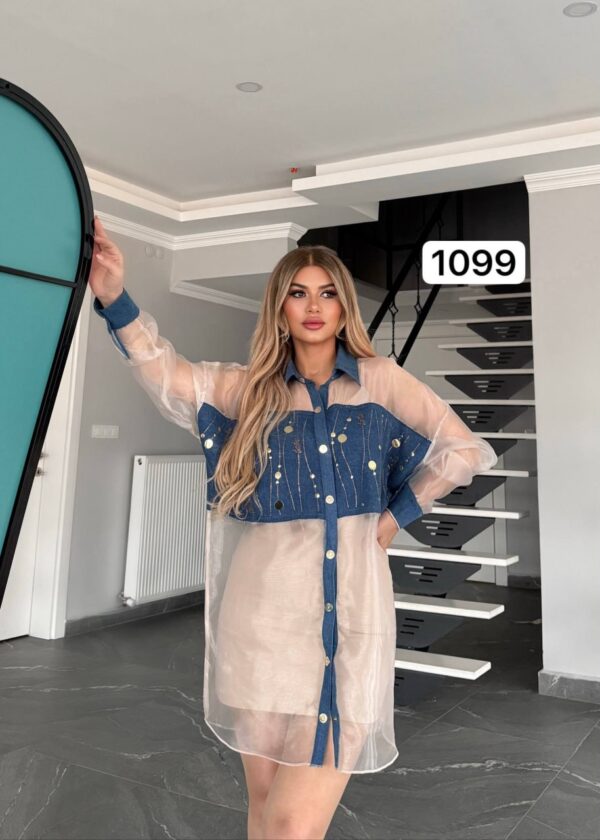 Two-Piece Mini Dress and Sheer Denim Jacket Set