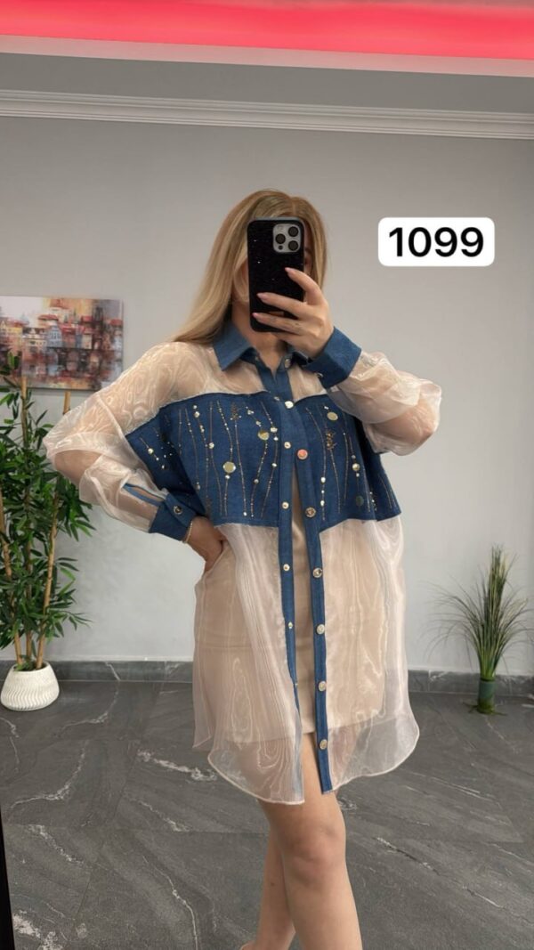 Two-Piece Mini Dress and Sheer Denim Jacket Set