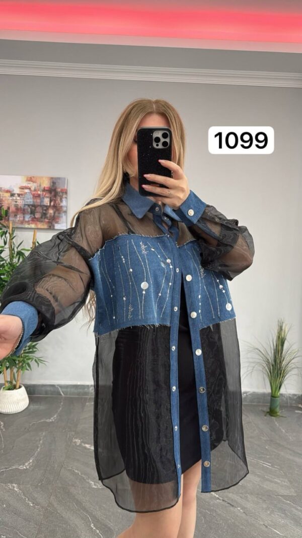 Two-Piece Mini Dress and Sheer Denim Jacket Set