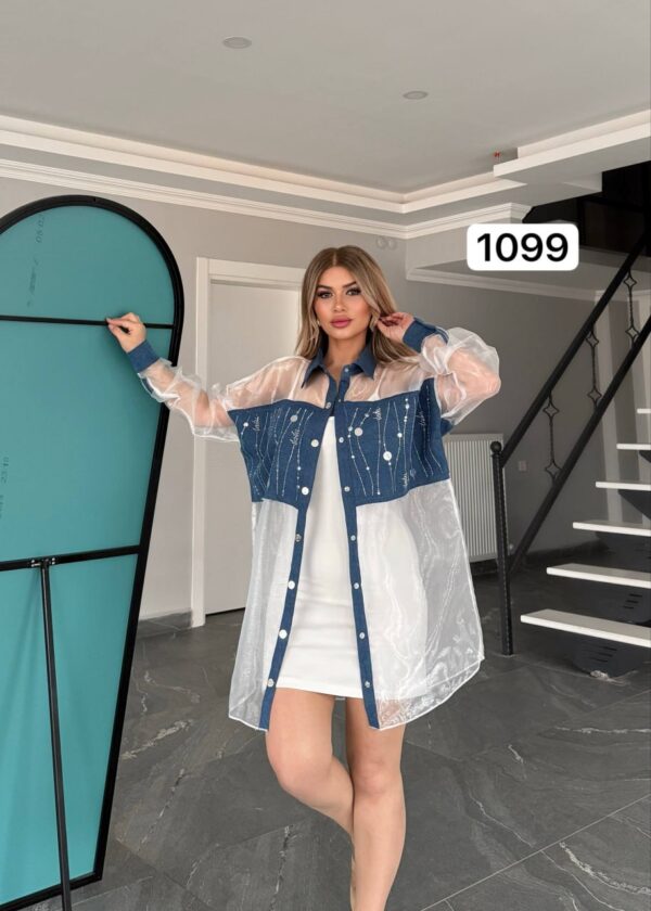 Two-Piece Mini Dress and Sheer Denim Jacket Set