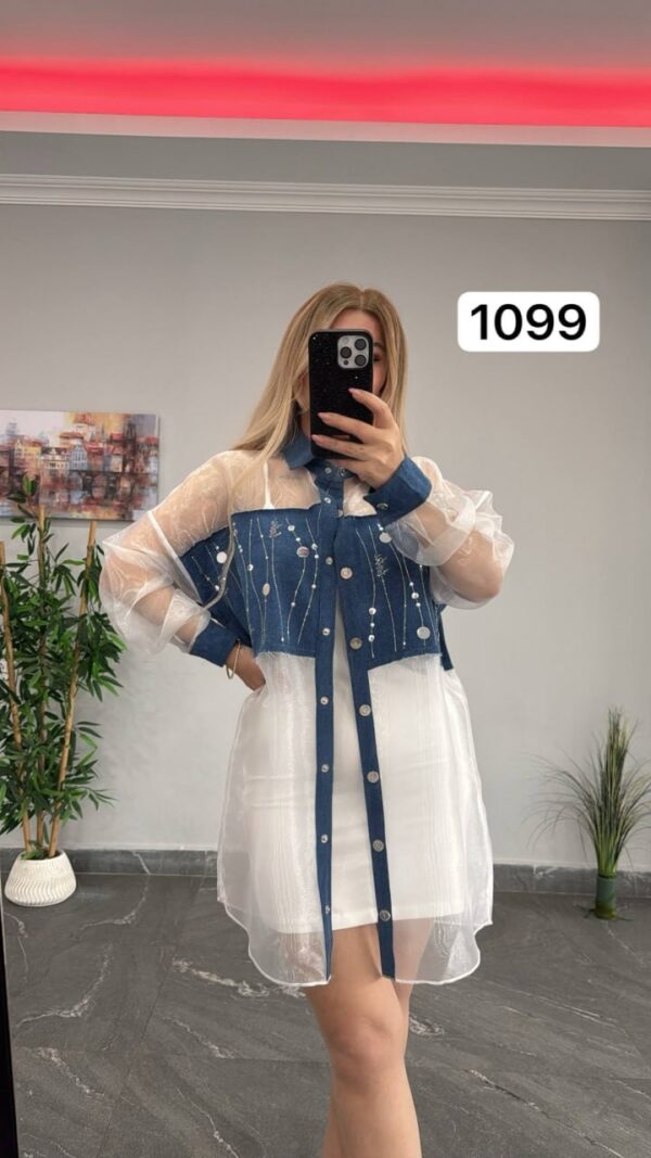 Two-Piece Mini Dress and Sheer Denim Jacket Set