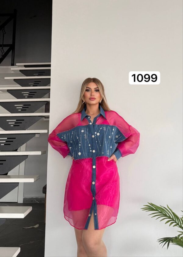 Two-Piece Mini Dress and Sheer Denim Jacket Set