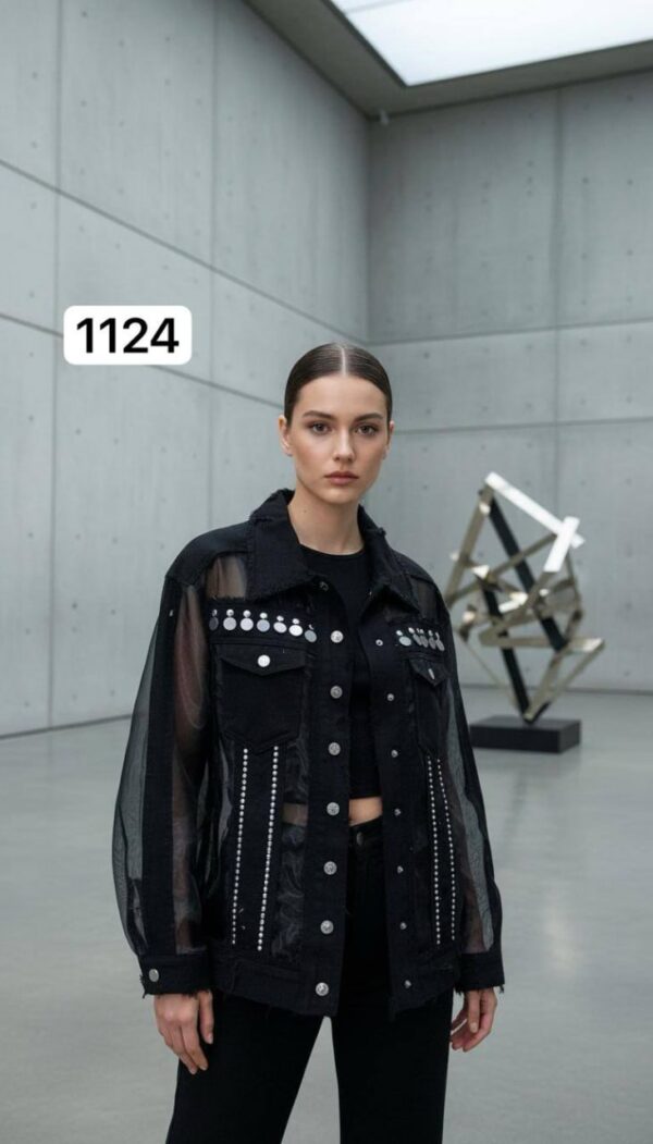 Sheer Panel Embellished Denim Style Jacket