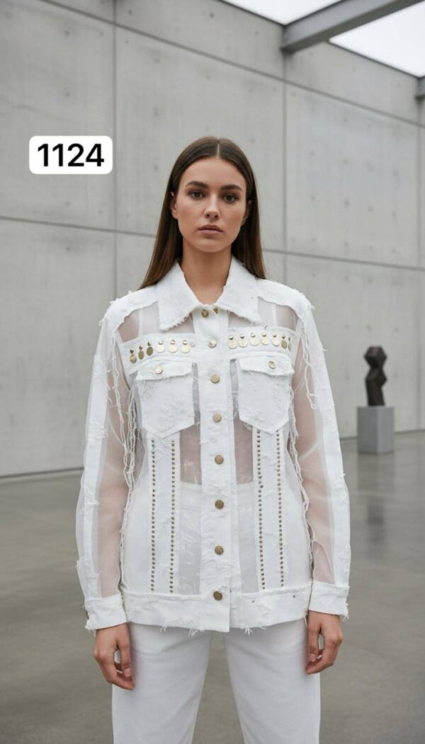 Sheer Panel Embellished Denim Style Jacket