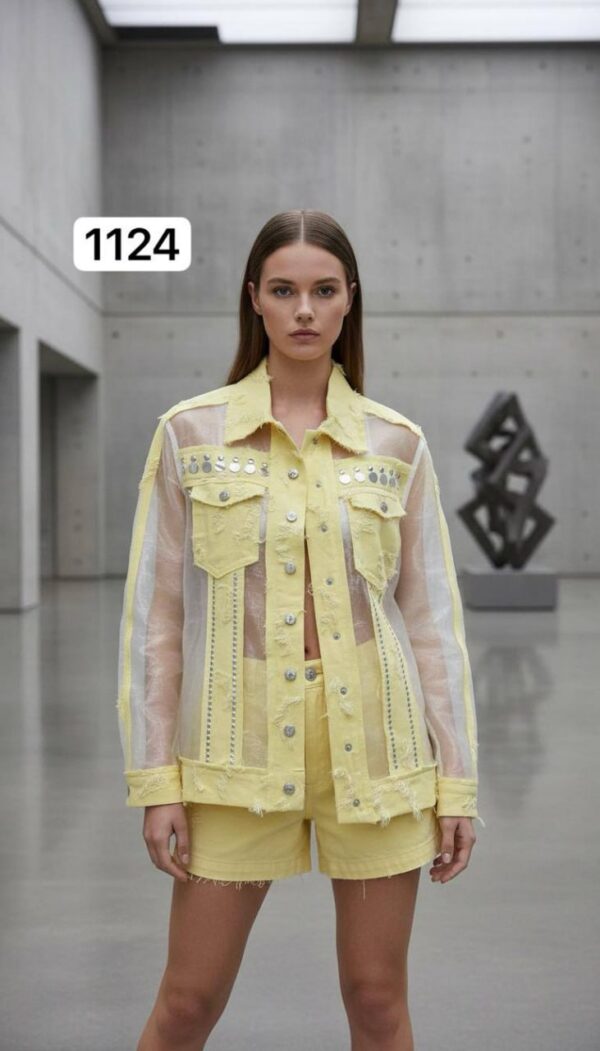 Sheer Panel Embellished Denim Style Jacket