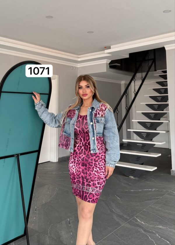 Leopard Print Mini Dress and Denim Jacket Set