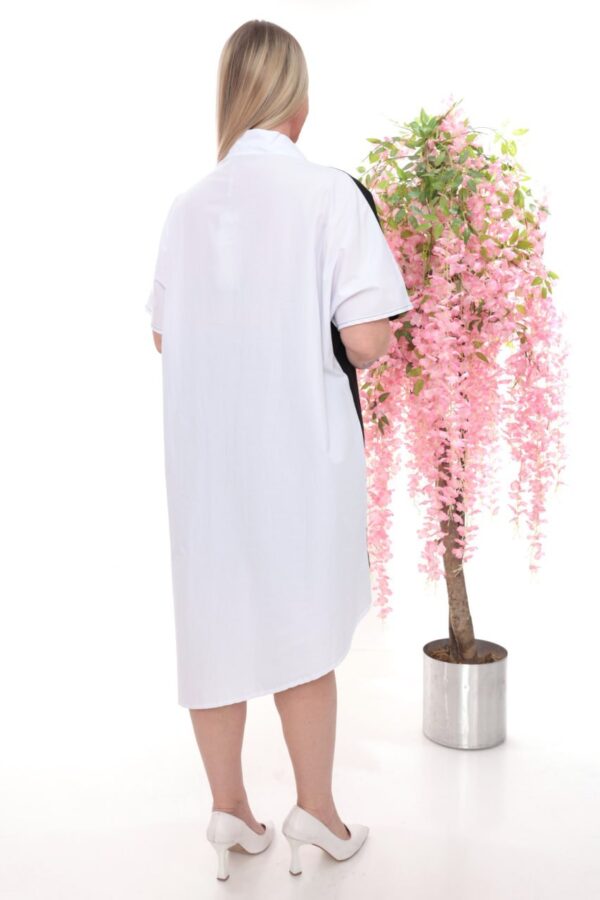 Asymmetric Color-Block Tunic Shirt