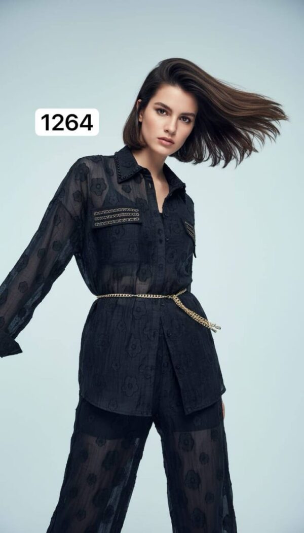 Sheer Floral Embroidered Two-Piece Pant Set