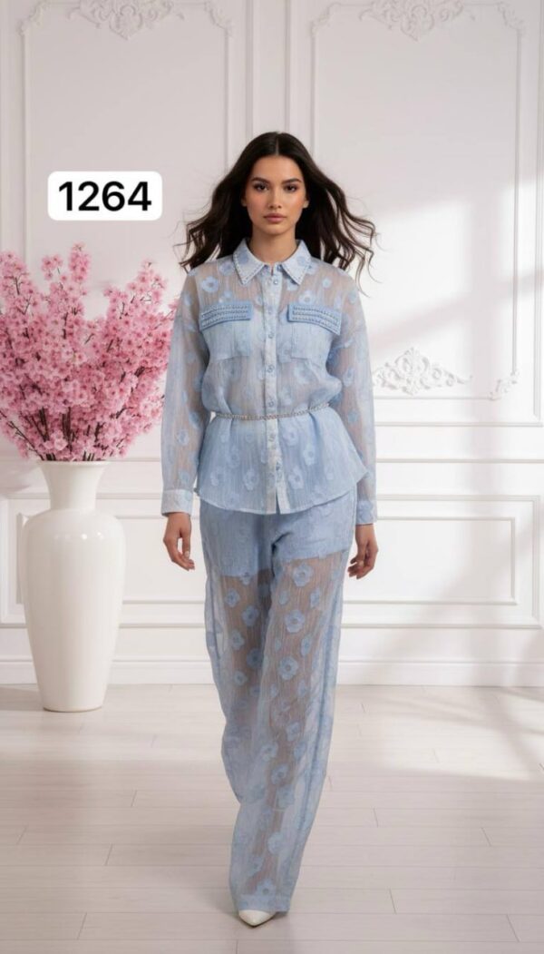 Sheer Floral Embroidered Two-Piece Pant Set