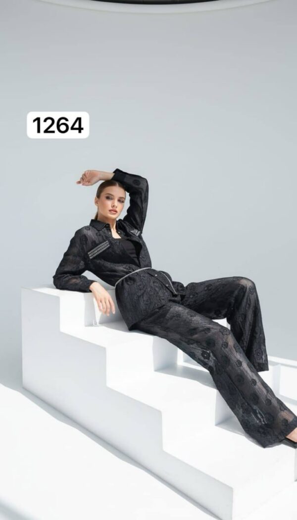 Sheer Floral Embroidered Two-Piece Pant Set