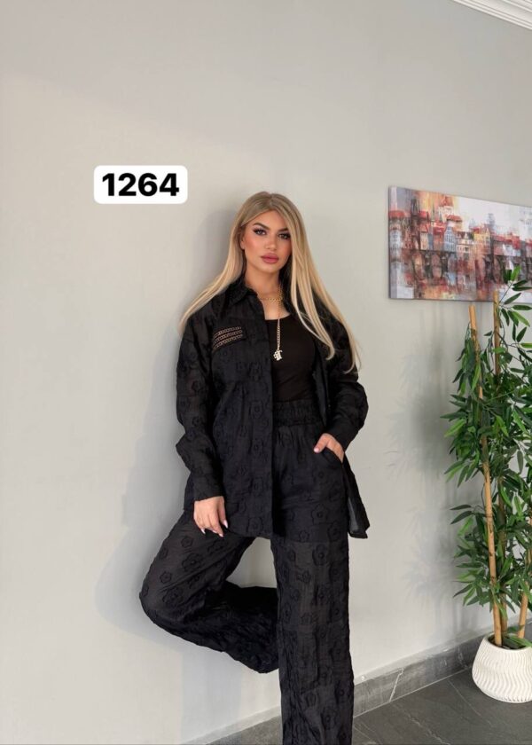 Sheer Floral Embroidered Two-Piece Pant Set