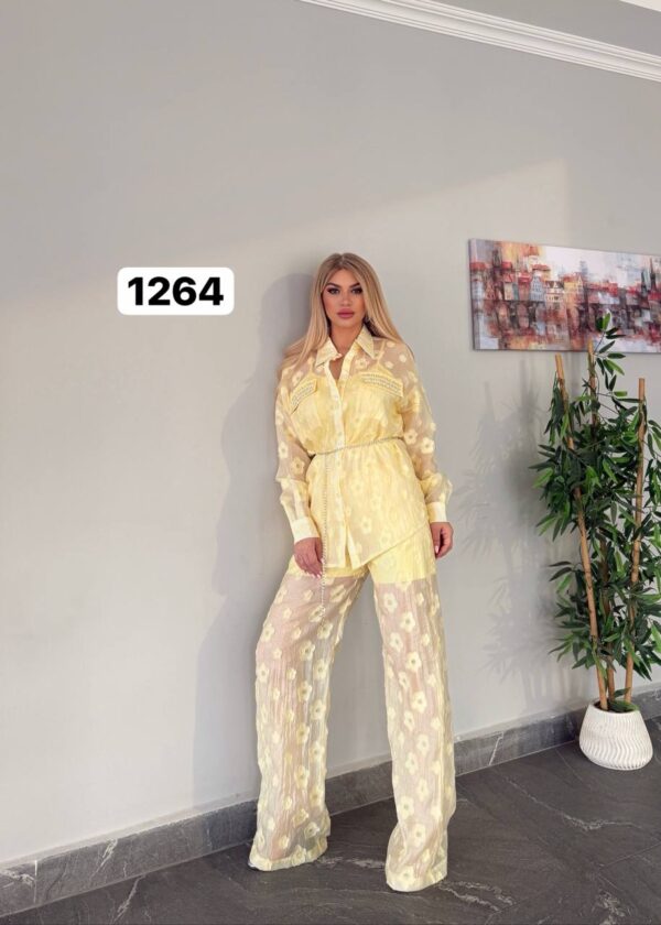 Sheer Floral Embroidered Two-Piece Pant Set