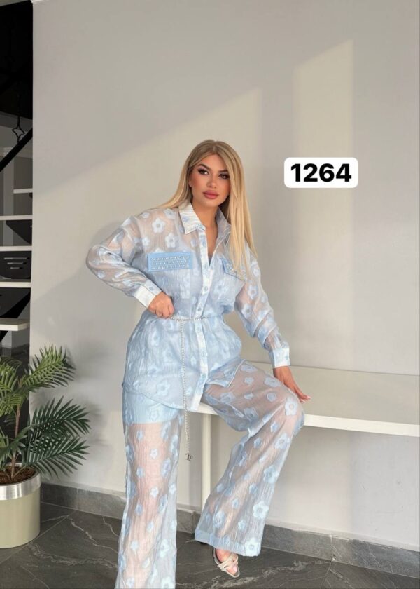 Sheer Floral Embroidered Two-Piece Pant Set