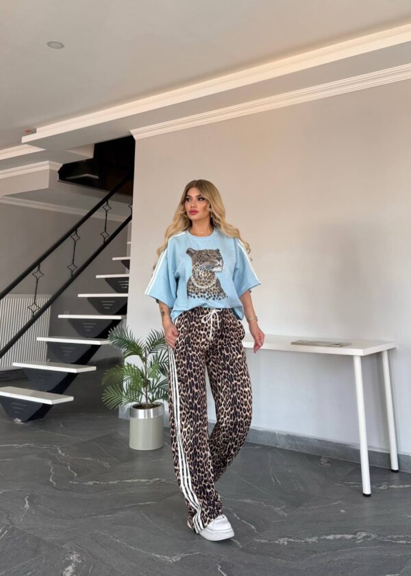Women's Leopard Graphic Top and Print Pants Set