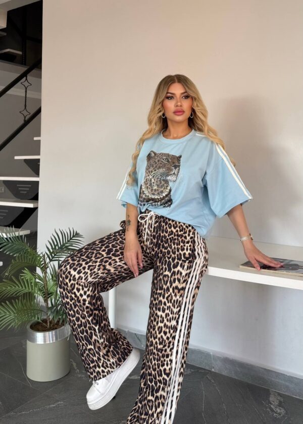 Women's Leopard Graphic Top and Print Pants Set