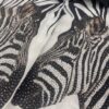 tg_35fb75f669962eb6 Premium Zebra Print Shirt - Wholesale Animal Pattern Blouse