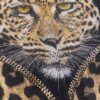 tg_ed7f7dca9f934de8 Premium Leopard Print Shirt Dress